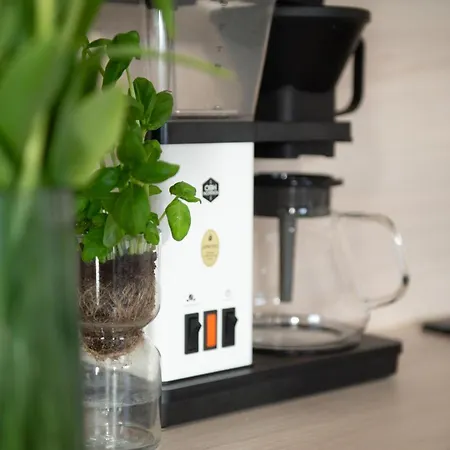 Old Town Charm With Sauna